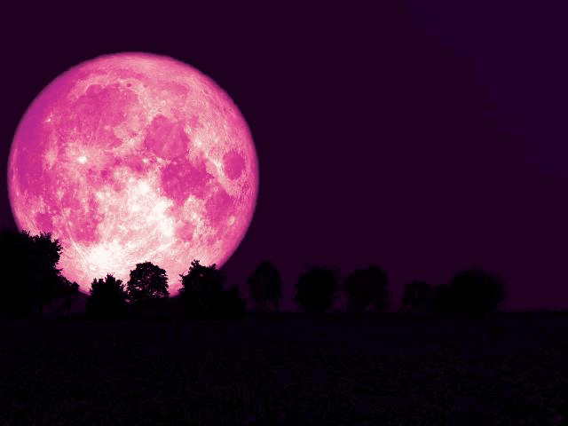 ¿Qué es la Luna de Fresa? Así podrás ver la última Superluna del año