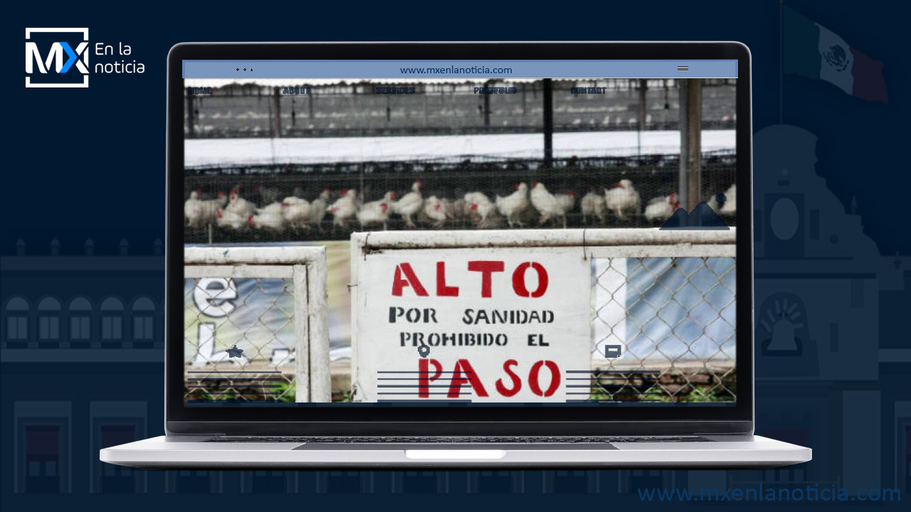 México tiene primer caso de gripe aviar H5N1: OMSA