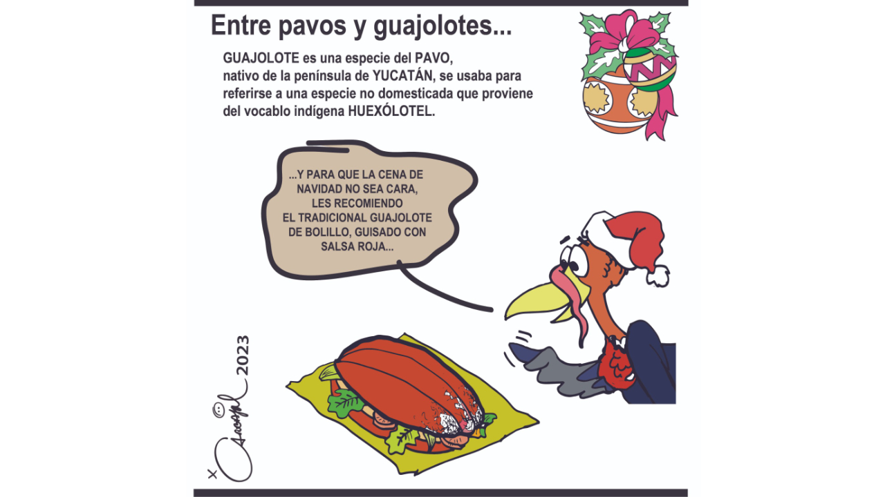 Entre pavos y guajolotes...