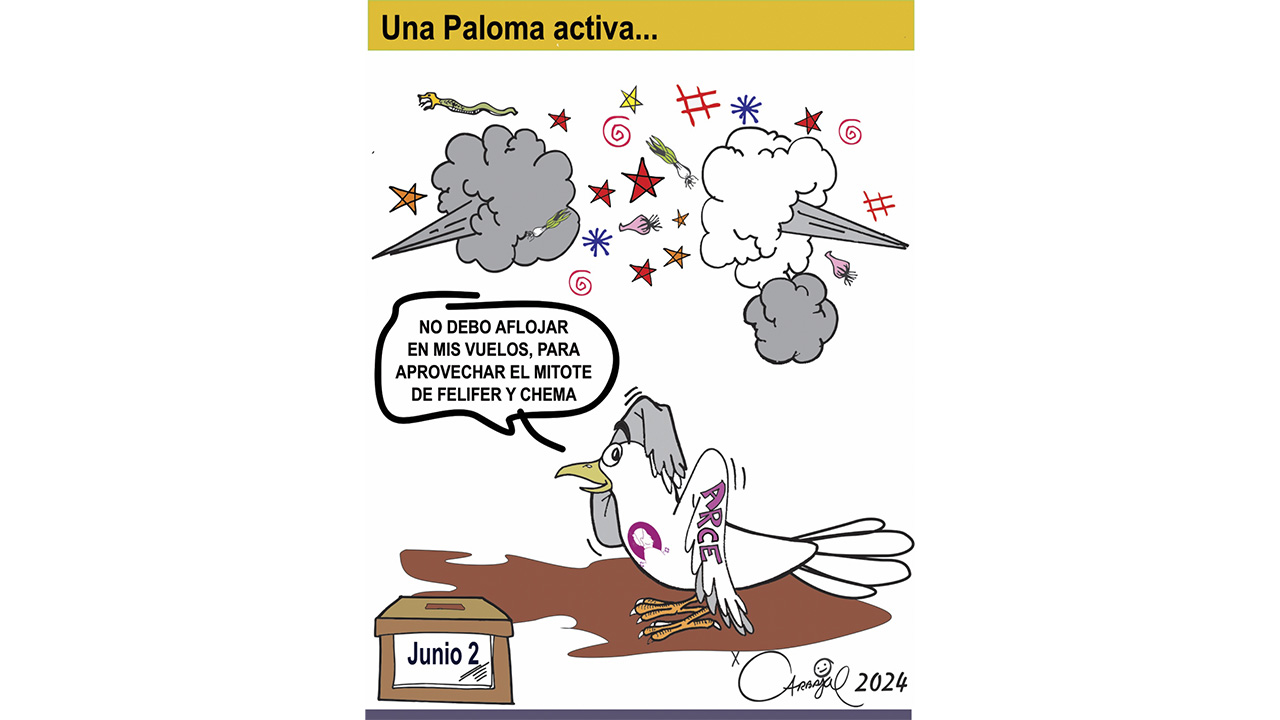 Una paloma activa