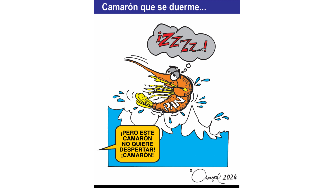 Camarón que se duerme