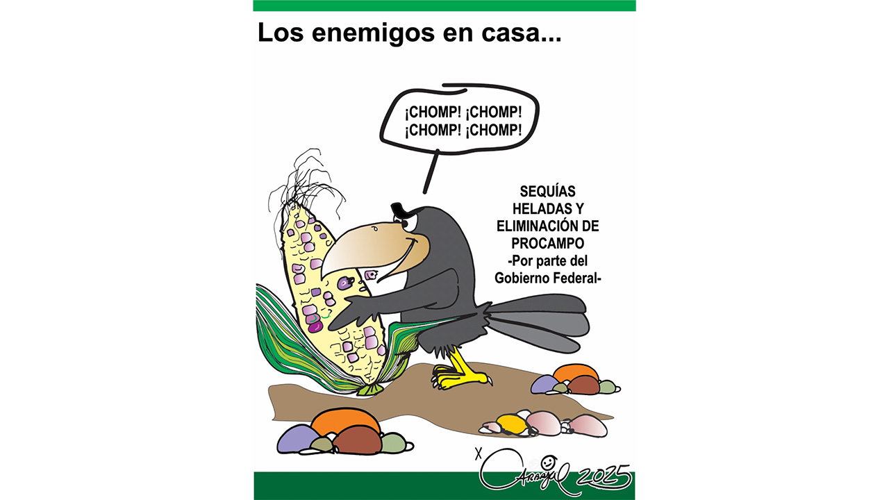 Los enemigos en casa...