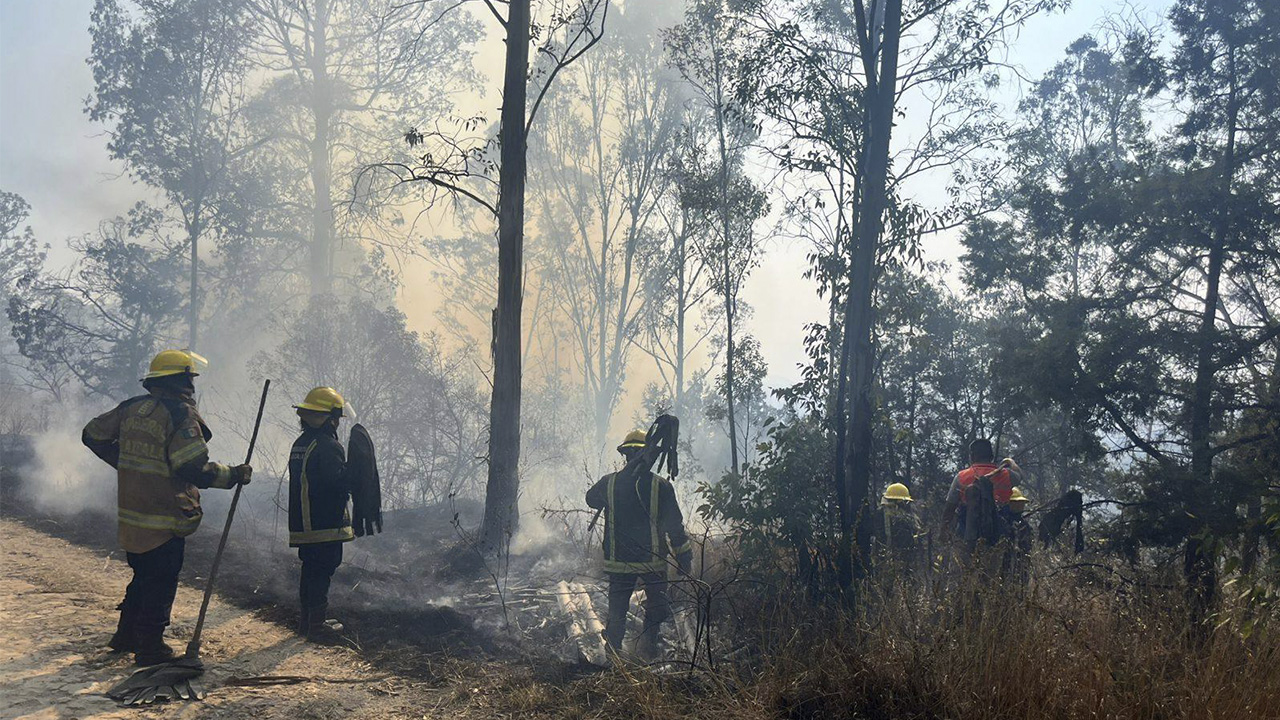 Cuerpos de Emergencia Sofocan Incendio en la Zona del Mirador