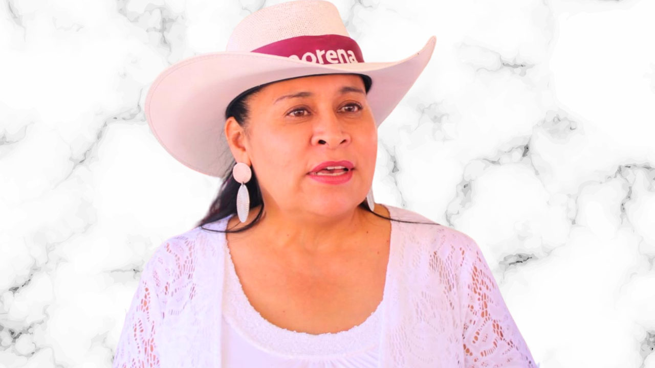 Invita Ana Lilia Rivera a militancia de Morena participar en la elección de comités seccionales