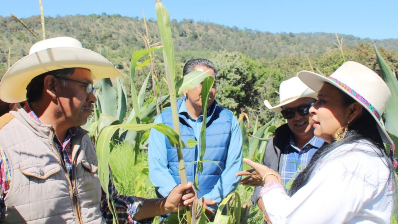 Ana Lilia Rivera se acredita logro de que FAO reconozca al Metepantle como Patrimonio Agrícola Mundial