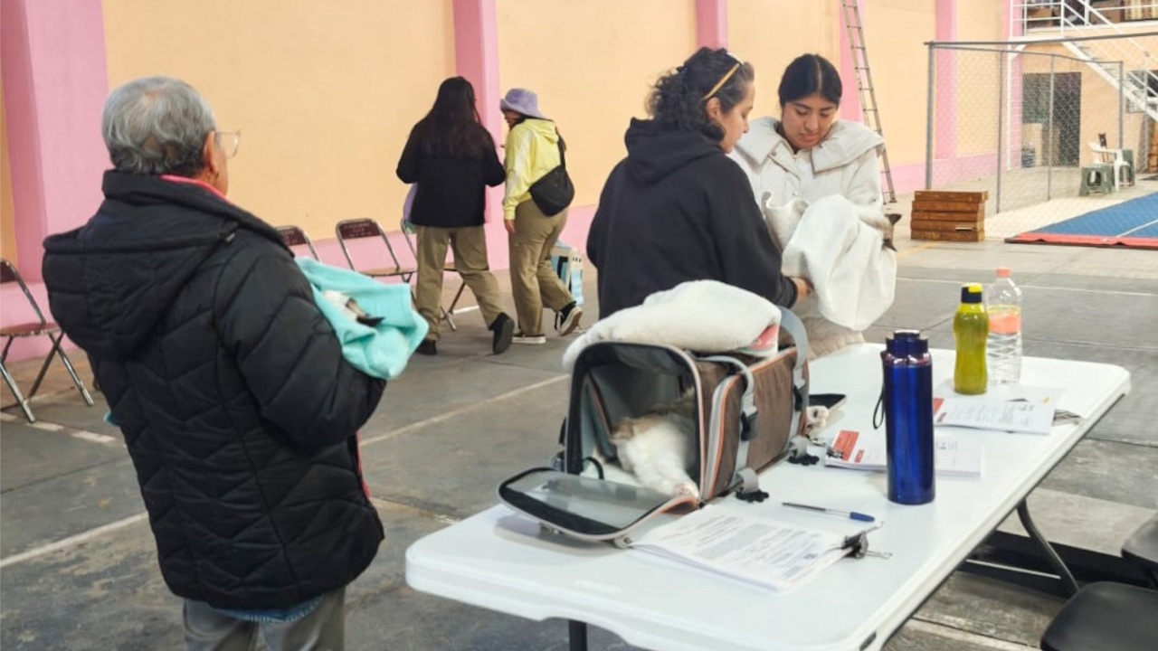 Con amplia respuesta el Ayuntamiento de Tlaxcala y SESA iniciaron en Atempan nueva campaña de esterilización canina y felina