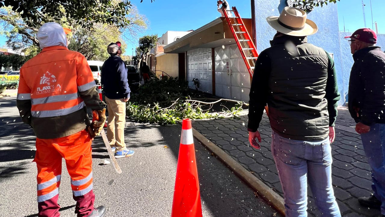 Mejora la seguridad ayuntamiento de Tlaxcala en bulevar Mariano Sánchez con trabajos de mantenimiento