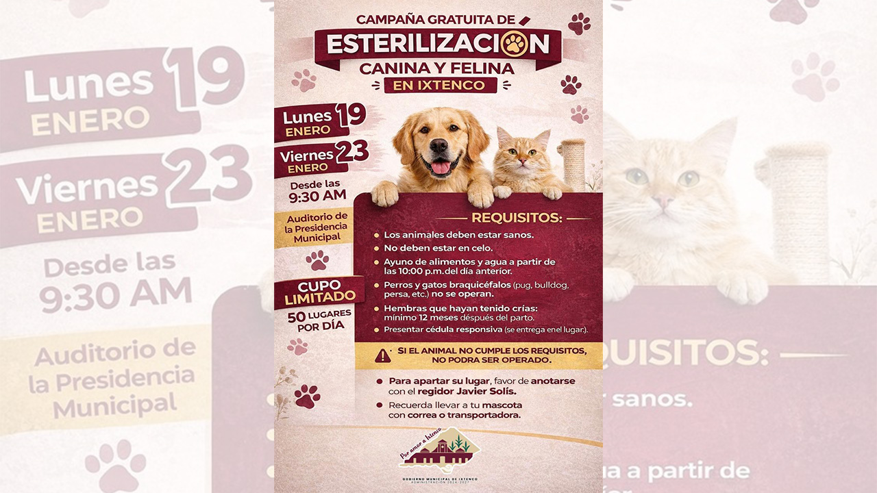 El 19 y 23 de enero habrá esterilizaciones gratuitas de perros y gatos en Ixtenco