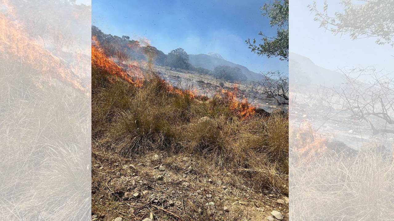 Protección Civil de Ixtenco llama a realizar quemas controladas ante ola de incendios