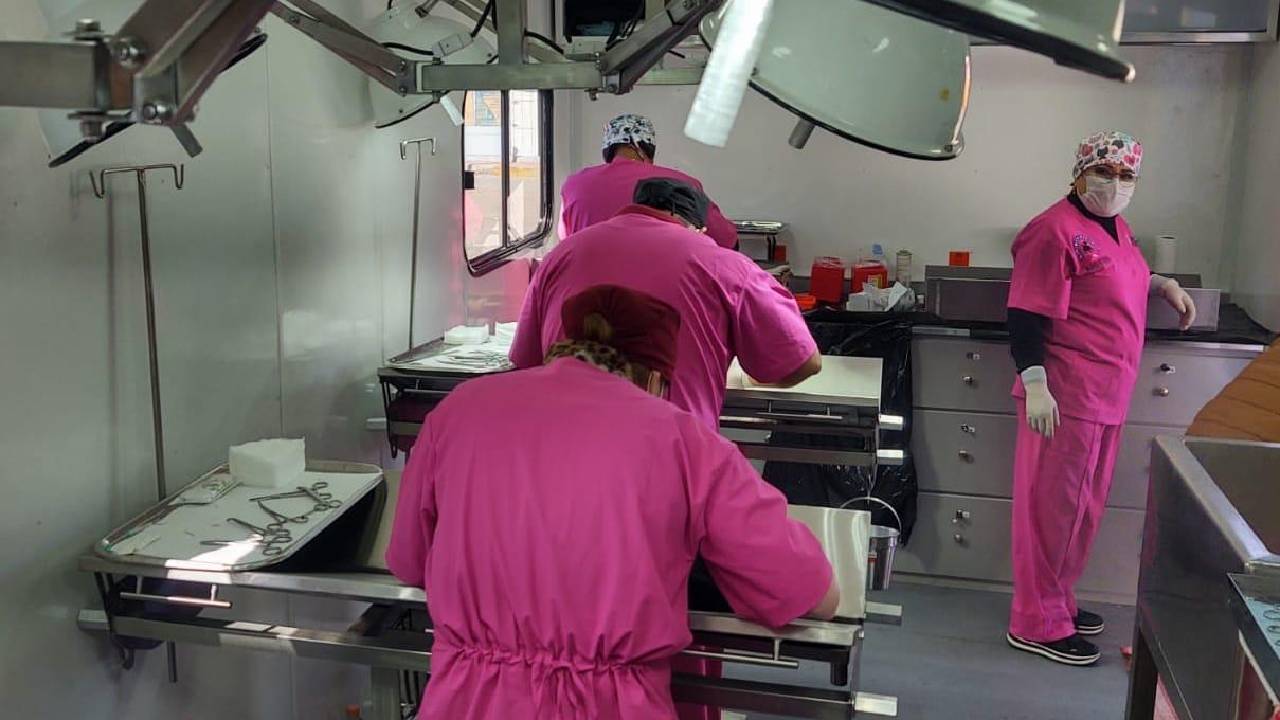 Amplía Ayuntamiento de Tlaxcala jornada de bienestar animal y llegará el 18 de marzo a San Lucas Cuauhtelulpan