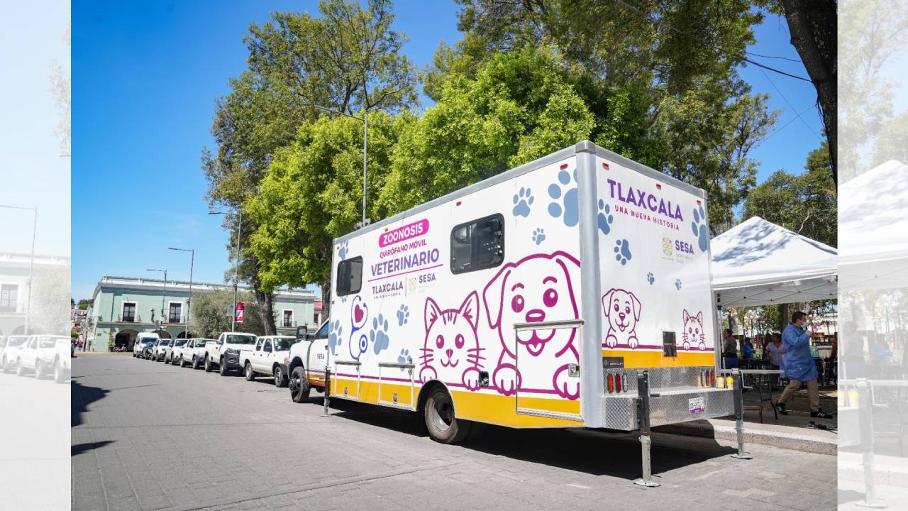 Habrá más jornadas gratuitas de esterilización en la capital tras éxito de primera campaña impulsada por Alfonso Sánchez García