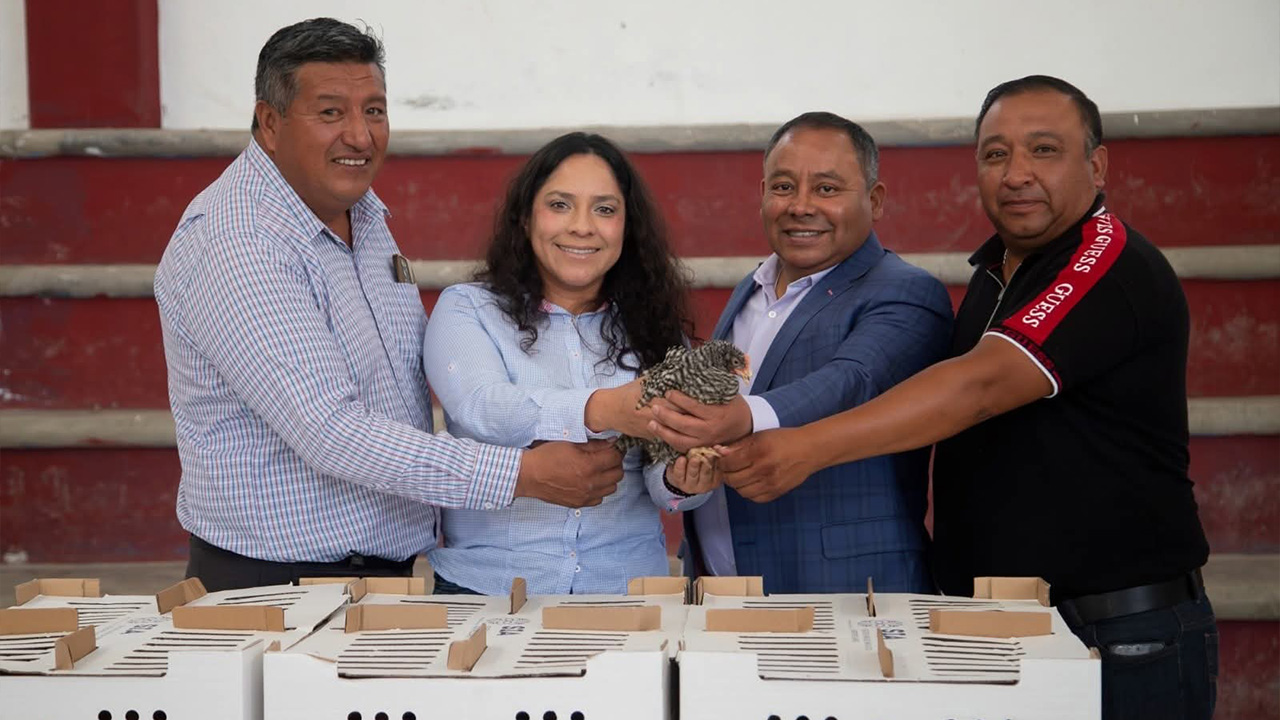 Fortalece Apizaco la autosuficiencia alimentaria con la entrega de más de 360 paquetes de especies menores en Texcalac